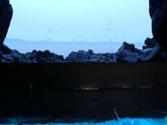 -坛南湾阿强农家乐.海鲜大排档老字号(福州地标美食店)