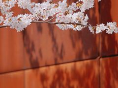 -龙美术馆(西岸馆)