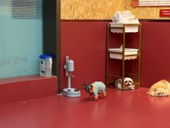 -和它·交个朋友·狗咖猫咖(爱琴海店)