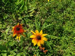 -重庆雨台山风景区