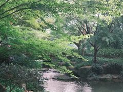 -中国茶叶博物馆(双峰馆区)