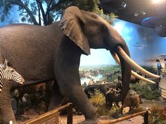 -陕西自然博物馆