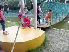 -广东茂名森林公园