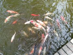 -陕西华浮宫酒店(未央湖公园店)