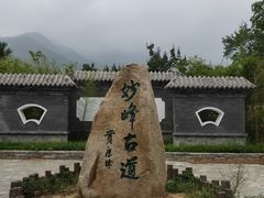 -阳台山自然风景区