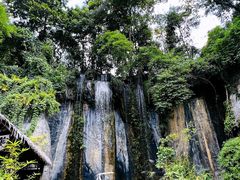 -西双版纳原始森林公园