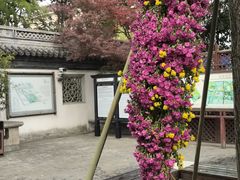 -汇龙潭