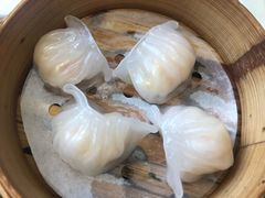 水晶虾饺-博悦茶餐厅(文殊院店)