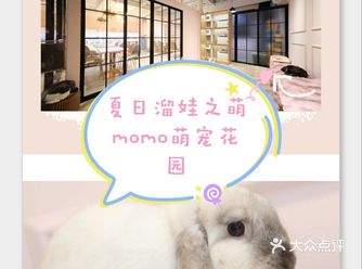 萌宠花园的夏季溜娃日常，亲子票优惠打折