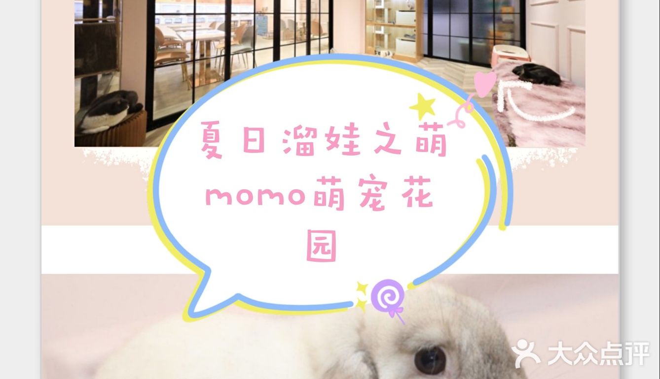 萌宠花园的夏季溜娃日常，亲子票优惠打折