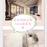 萌宠花园的夏季溜娃日常，亲子票优惠打折