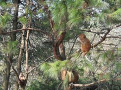 -重庆雨台山风景区