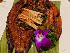 -紫滇源云南生态菜(丹凤街店)