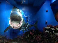 -船奇蒸汽海鲜·闽菜(八市海鲜总店)