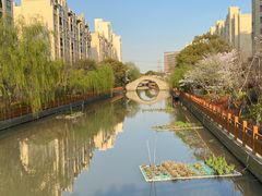 -高东镇樱花园