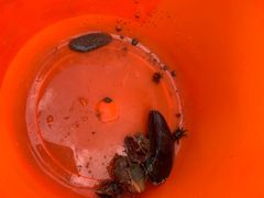 -黄金海岸环岛路