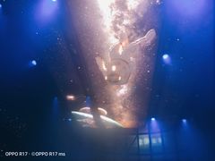 -SPACE(欢乐颂购物中心店)