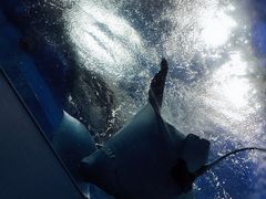 -鹿儿岛水族馆