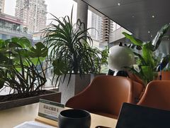 -新光里