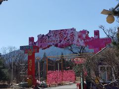 -北京凤凰岭