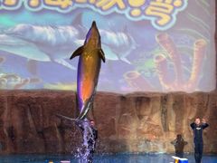 -华夏文旅海洋公园