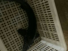 -双廊杨记石锅鱼石锅牛肉