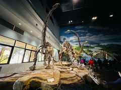 -自贡恐龙博物馆