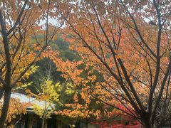-终南山国家森林公园