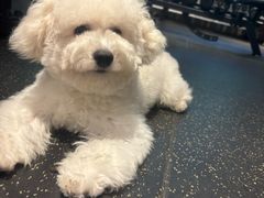 -NRG 健身私教CLUB(云山路店)