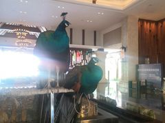 -西双版纳融创皇冠假日度假酒店