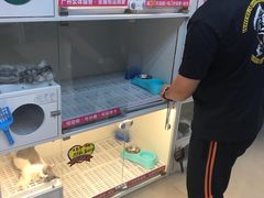 -lincat·猫舍(广州店)