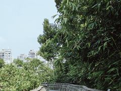 -福道