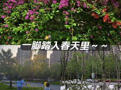 -洋湖国家湿地公园