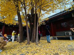 -承恩寺