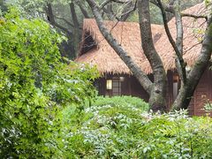 -中国茶叶博物馆(双峰馆区)