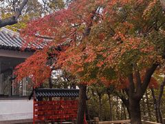-虞山城墙