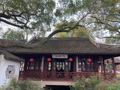 -上海醉白池公园