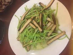 -余杨鸭鸭餐厅