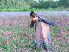 -北京东方普罗旺斯薰衣草庄园