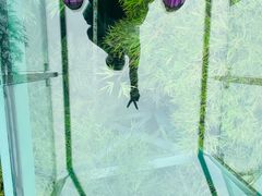 -陶祖圣境风景区