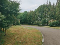-梁鸿国家湿地公园