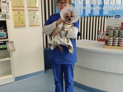 -全心全意动物诊疗中心医院(北苑店)