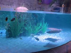 -沈阳海洋探索中心