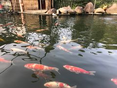 -湖鲜楼