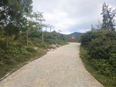 -大姆山草场