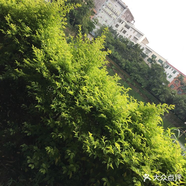 遛狗遛娃的好去处