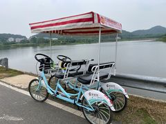 -青龙山国家森林公园