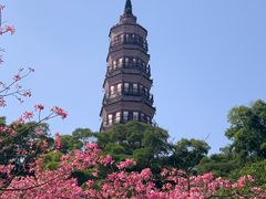 -顺峰山公园