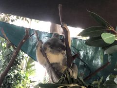 -可伦宾野生动物保护区