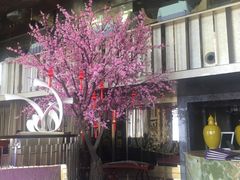 -金轩中餐厅 Jin Xuan(浦东丽思卡尔顿酒店)